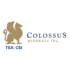 Colussus_-_small
