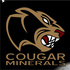 Cougar_minerals