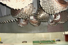 Mv_dp_the_explorer_6