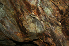 Greenwood_aug2009_11