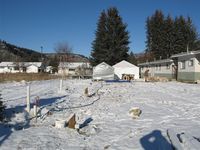 Grizzly_drilling_dec09_6
