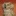 Taffy_cropped