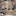 Family_miscellaneous_094