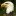 Bald-eagle_1_