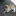 Kitco