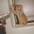 Put_your_arms_up