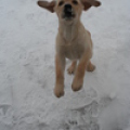 Winter_bliss_036