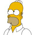Homer_profile