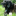 Agoracom_profile_1