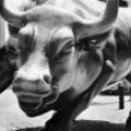 Wall-street-bull
