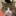 Glaring_cat