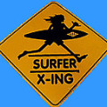 Surferx