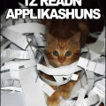 Lolzcats