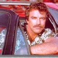 Pic_selleck