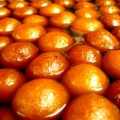 Gulab_jamun_001
