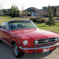 65_stang_reduced_size