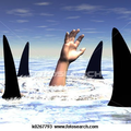 Fin
