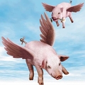 Flyingpigs