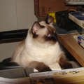 Dsc00236