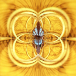 2326318108_4009b0c415_b.jpg