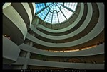 The Guggenheim (77)