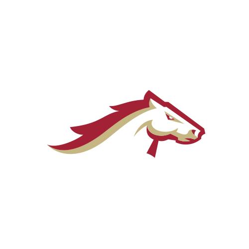 Birmingham Stallions