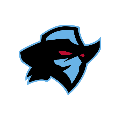 Dallas Renegades