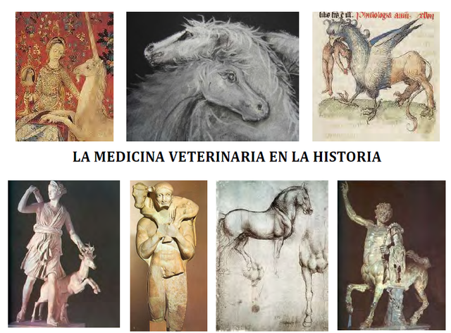 La historia de la veterinaria timeline | Timetoast timelines