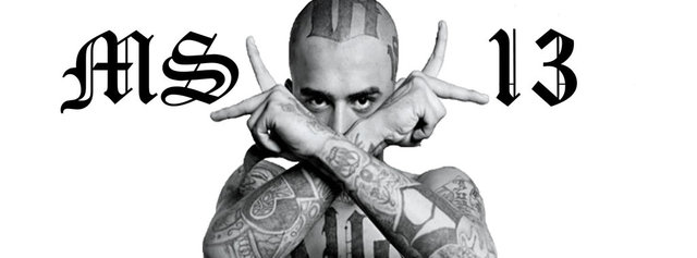 ms13__fb_cover__by_freshofficial-d641jpd.jpg?1476758422