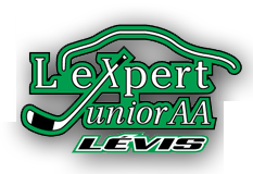 SaintRomuald Junior AA Expert Hockey Club in Levis, QC, Canada