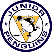 Boston Jr Penguins - Hockey Club in Arlington, MA - Travel Sports