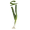 Arab Spring Onion avatar
