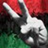 libyanandproud avatar