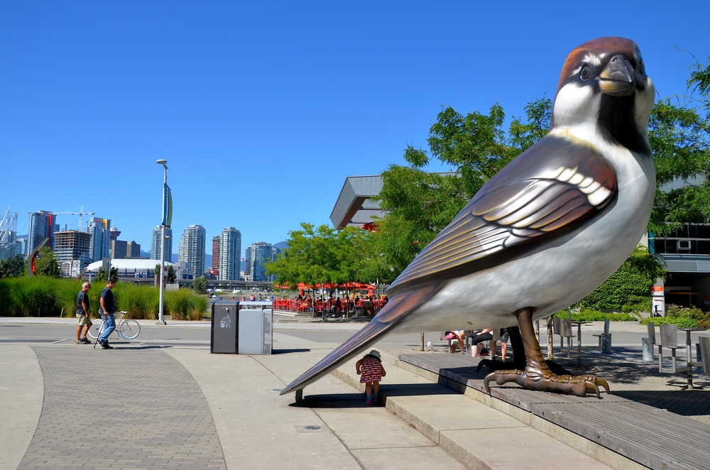 Downtown Vancouver Waterfront_211651789