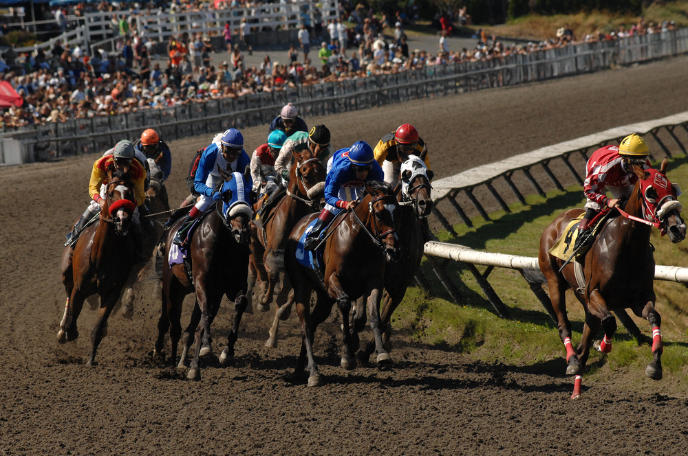 Hastings Park racecourse in Vancouver_259264760