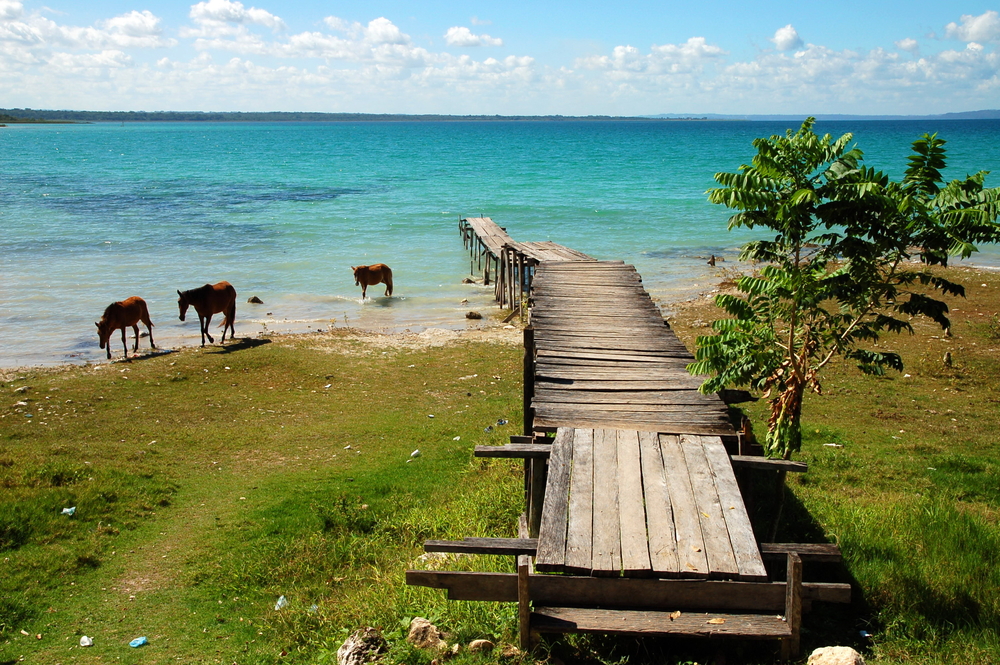 Blue Lake with Horses in Guatemala_156170933