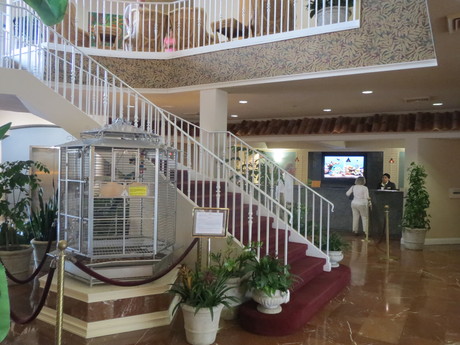 cypress pointe resort orlando diamond