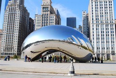 teamchicago