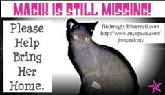 missingmagic