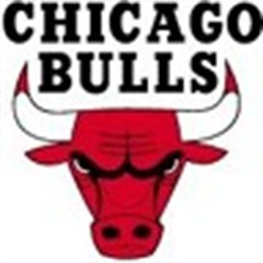 bullsfan123