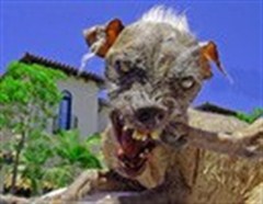 junipersmommy