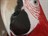 Birdseyeview