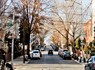 Greenpoint
