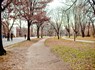 Prospect Park
