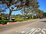 Mar Vista