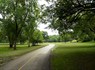 Forest Glen