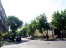 Ukrainian Village