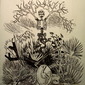 les fleurs du mal