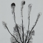 Man's Hand Tree! 