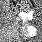 nocturne#1 (detail)